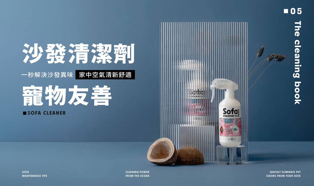 寵物家庭必看！5 個有效方法，快速去除沙發上的貓狗異味